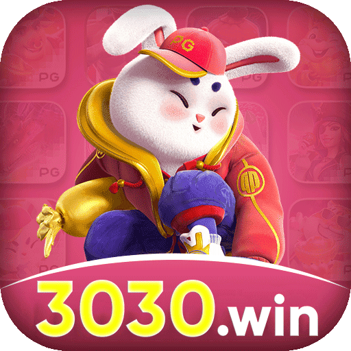 3030win Plus v3.3.4